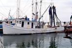 Gulfport, Harbor, Docks, Fishing Boats, TSFV03P05_07
