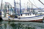Gulfport, Harbor, Docks, Fishing Boats, TSFV03P05_10
