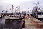 Gulfport, Harbor, Docks, Fishing Boats, TSFV03P05_14