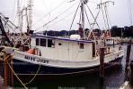 Gulfport, Harbor, Docks, Fishing Boats, TSFV03P05_18