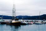 Boats, docks, harbor, Tomales Bay, Marin County, TSFV03P06_10