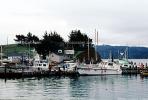 Boats, docks, harbor, Tomales Bay, Marin County, TSFV03P06_11