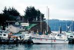 Boats, docks, harbor, Tomales Bay, Marin County, TSFV03P06_14