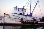 Monterey, Harbor, Bay, Fishing Boat, TSFV03P08_07