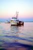 Monterey, Harbor, Bay, Fishing Boat, TSFV03P08_09