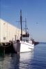 Fishing Boat, Dock, Harbor, TSFV03P08_10