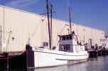 Fishing Boat, Dock, Harbor, TSFV03P08_11
