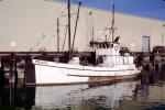 Fishing Boat, Dock, Harbor, TSFV03P08_18