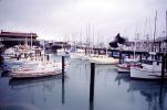 Fishing Boat, Dock, Harbor, Pigeon