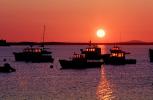 Lobster Boats, Harbor, Sunset, Port Clyde, Saint George peninsula, Saint George, Knox County, Maine