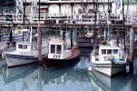 Docks, Fishing Fleet, Harbor, TSFV04P01_14