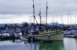Docks, Harbor, Jenna Lee, TSFV04P03_11