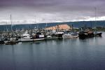 Harbor, Homer, Alaska, TSFV04P07_05