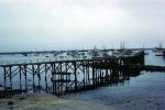 Pier, harbor, TSFV04P12_04