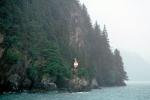 Cliff, Trees, Homer Alaska, TSPV03P04_13