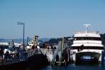 Catamaran, Dock, Ferryboat, TSPV04P02_19