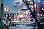 Docks, Pier, Pattaya, TSPV04P12_05