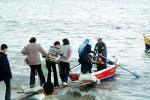 Rowboat ferry, oar, loading and unloading, water, people, coast, coastal, Dock, Alexandria, TSPV04P14_13
