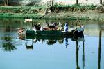 Passenger Ferry, boat, Nile River, reflection, shoreline, donkey, peo