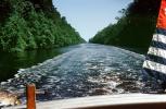Dismal Swamp Canal, wetlands, TSPV06P12_15