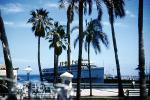 Avalon Harbor, Palm Trees, Catalina Island, SS-Catalina, 1962, 1960s