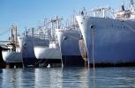 National Defense Reserve Fleet, Suisun Bay, TSQV01P05_04