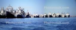 National Defense Reserve Fleet, Suisun Bay, TSQV01P07_01B