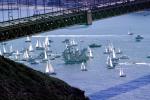 Flotilla Receiving a Tall Ship, Golden Gate Bridge, TSTV01P04_06