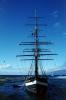 The Carthaginian, square rigger replica whaling ship, Lahaina, Maui, TSTV01P08_01