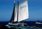 Alma, flat-bottomed scow schooner, National Historic Landmark, San Francisco Maritime National Historical Park , TSTV01P11_04