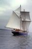Playfair, TS (Training Ship), Traditionally-rigged brigantine, Toronto, Canada, square sails, TSTV02P03_10