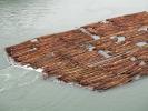 Floating Logs, Raft, Whidbey Island, TSWD01_103