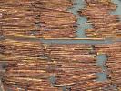 Floating Logs, Raft, Whidbey Island, TSWD01_109