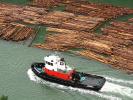 Tugboat Rosario, Floating Logs, Rafeet, Whidbey Island, TSWD01_116
