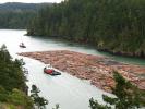 Tugboat Rosario, Floating Logs, Raft, Whidbey Island