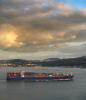 APL Australia, Container Ship, IMO: 9252254, TSWD01_137