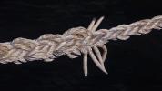 Rope Knot, splice, TSWD02_089