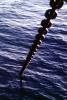 Anchor Chain, Glomar Coral Sea, Global Marine, IMO: 7366506, TSWV01P04_04B