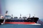 Wilmona, Singa Wilmona-91, Oil Tanker