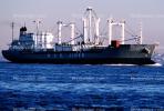 Durmitor, P.V.C. Lines, IMO: 8200280, dry cargo & container ship, TSWV01P15_10B