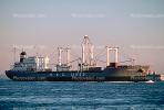 Durmitor, P.V.C. Lines, IMO: 8200280, dry cargo & container ship