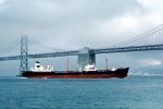 LIon of California, Oil Tanker, San Francisco Oakland Bay Bridge, IMO: 5116957, TSWV02P03_09