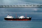 LIon of California, Oil Tanker, San Francisco Oakland Bay Bridge, IMO: 5116957, TSWV02P03_12