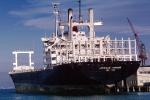 Container Ship, American Pioneer, IMO: 7617890, Dock, Harbor, TSWV02P12_19
