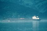 Exxon Long Beach, Oil Tanker, Alaska Pipeline Terminus, Valdez, Harbor, IMO: 8414532