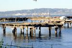 Dilapitated Docks, Piers, TSWV05P14_01