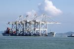 Zhen hua 1, Heavy Load Carrier, IMO: 7506572, ZPMC, Port of Oakland, Gantry Crane, Harbor, TSWV06P07_19