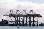 Zhen hua 1, Heavy Load Carrier, IMO: 7506572, ZPMC, Port of Oakland, Gantry Crane, Harbor, TSWV06P09_10
