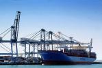Clifford Maersk, IMO: 9198575, Harbor, Dock, Gantry Crane, TSWV06P10_06