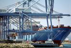 Clifford Maersk, IMO: 9198575, Harbor, Dock, Gantry Crane, TSWV06P10_15